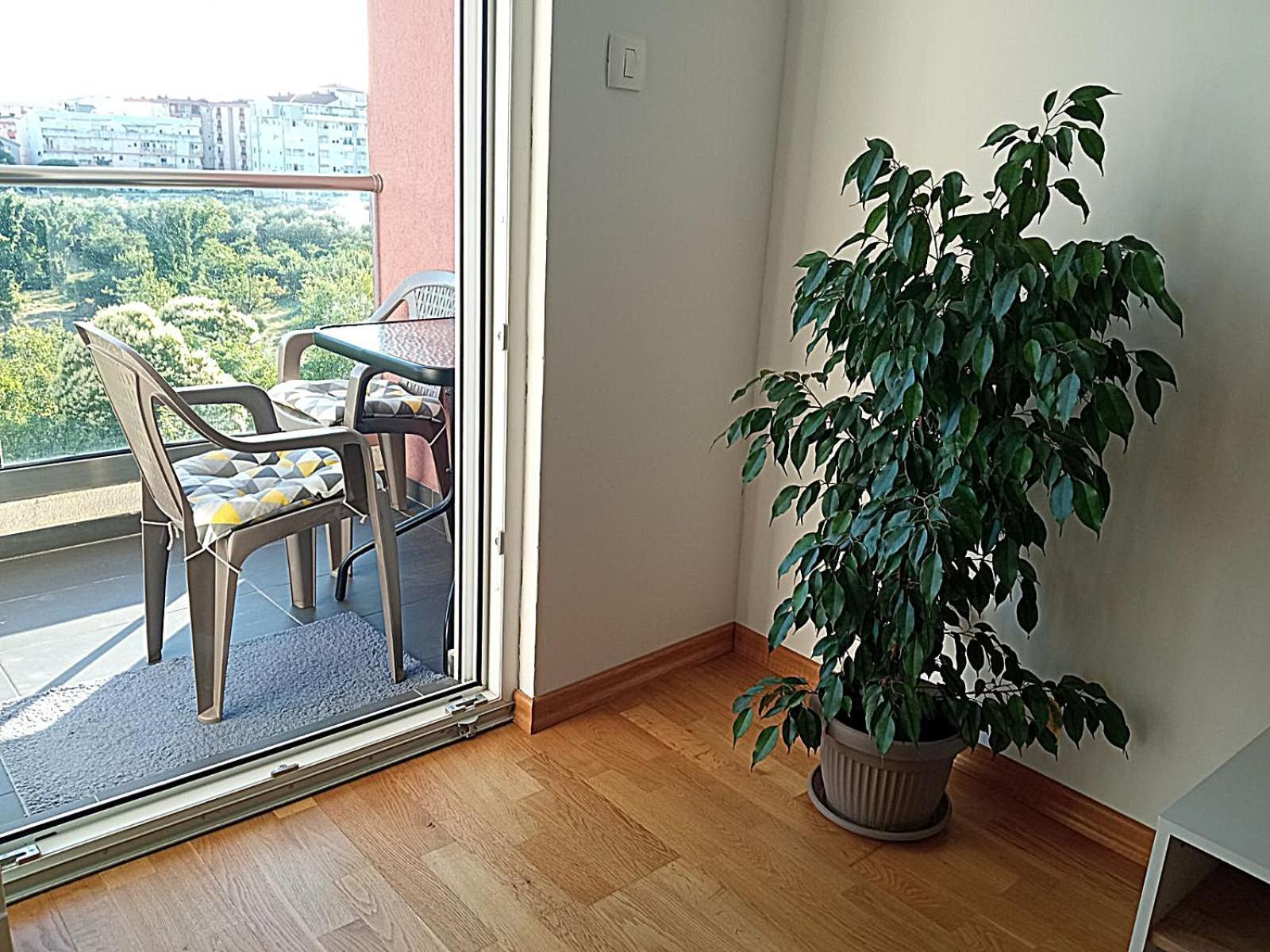 Renta Apartman Подгорица Экстерьер фото